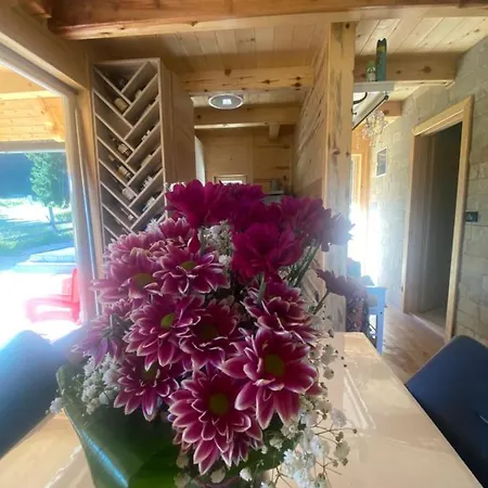 Luxury Horse River Willa