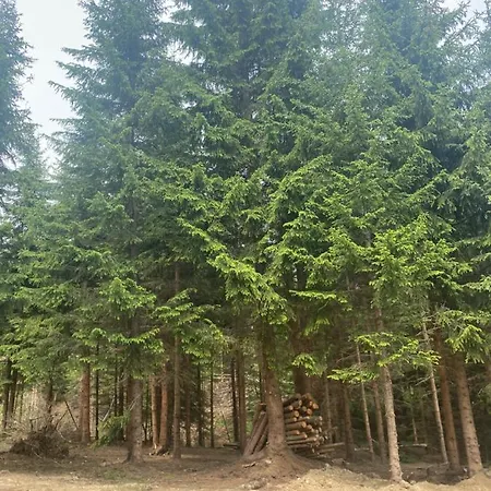 Luxury Horse River Sekulic