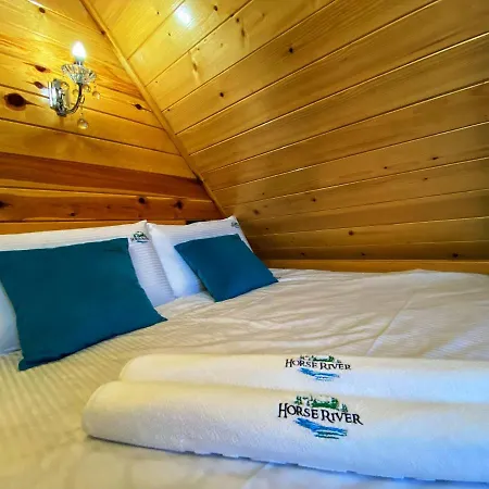 Luxury Horse River *