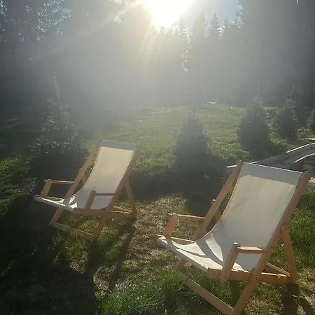 Luxury Horse River Sekulic