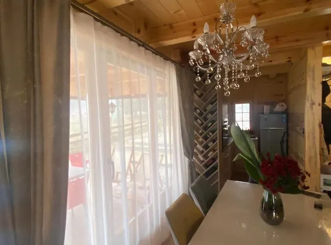 Luxury Horse River *